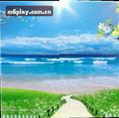王少